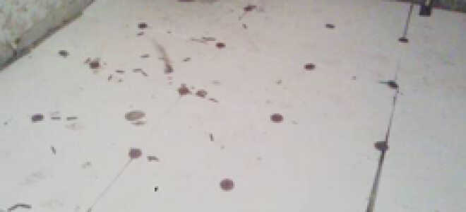 Утепление пола Пеноплексом под бетонную стяжку своими руками