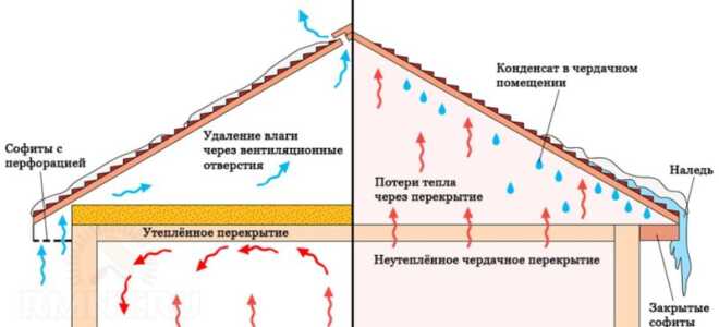 Пароизоляция и влаговетрозащита для холодного чердака: основы применения и монтажа