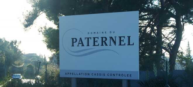 Как построить винный погреб в своем доме? Советы мастеров в репортаже из французской винодельни