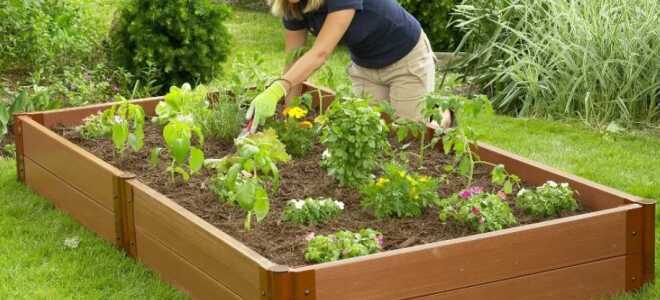 Как соорудить высокие грядки для огорода