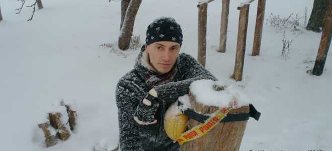 Современный дауншифтинг: как совместить съемку обнаженных моделей, агроусадьбу и кунгу-фу