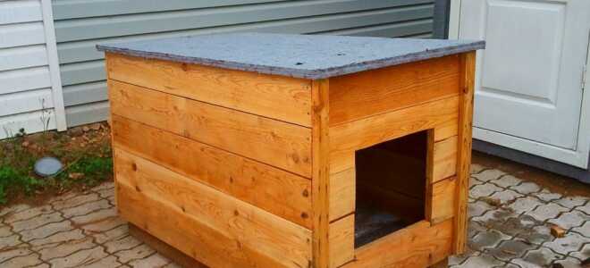 Как смастерить конуру для питомца самостоятельно
