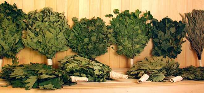 Веник для бани: разнообразие и секреты использования