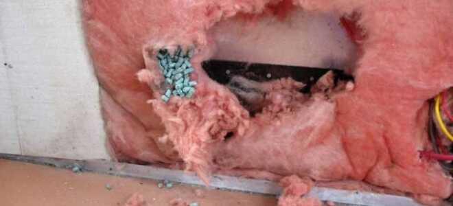 Какой утеплитель не грызут мыши