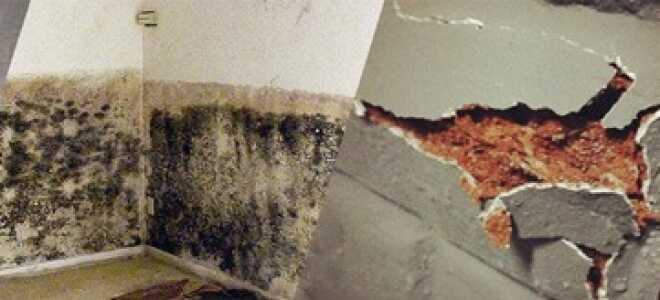 Как гидроизолировать подвал: материалы, смеси, способы выполнения работ