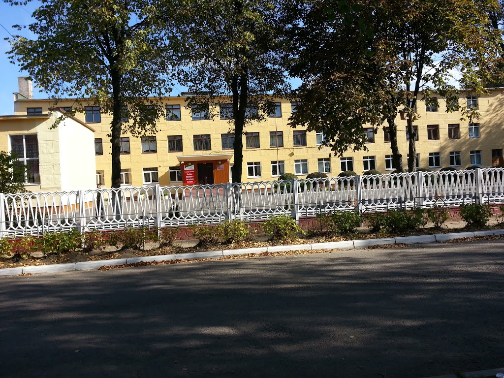 Школы минского района. Обзор учреждений в самых популярных направлениях