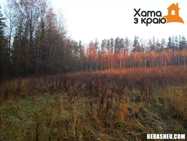 Як я шукаў участак пад будаўніцтва дома