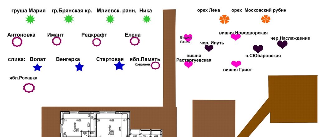 Как посадить газон своими руками, сэкономить вдвое и… не умереть. Личный опыт + МНЕНИЕ ЭКСПЕРТА